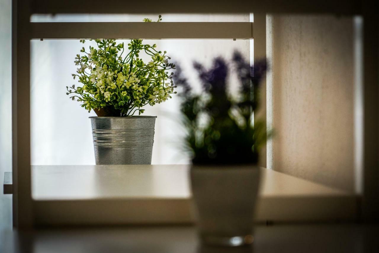 Guesthouse Klara Duba Stonska ภายนอก รูปภาพ